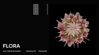 Flora Exhibition Walkthrough