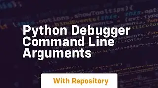 python debugger command line arguments