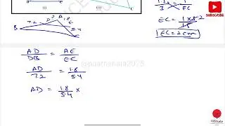 Class 10 Triangles | Most Repeated Questions | PAATHSHALA