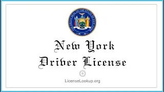 New York Driver License - What You need to get started #license #NewYork