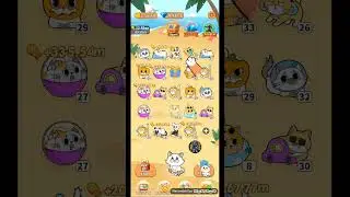 Cat Paradise Play