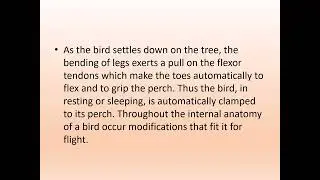 FLIGHT ADAPTATIONS IN BIRDS