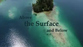 Beauty Above and Below the Surface | Incredible Loon Footage!