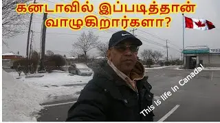 கனடாவில் இப்படித்தான் மக்கள் வாழுகிறார்கள்.Canadian Life like This.😯#youtube #canada #tamil  #vlog