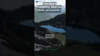 Wisdom Vault Quick Wisdom 1_motivational video