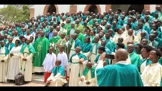 CATECHESTS OF PILGRIMAGE 2025