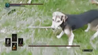 Bark Souls Memes Compilation (Sif Boss Fight)