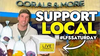 We Bought Coral From 6 Local Fish Stores in 6 Hours for LFS Saturday!