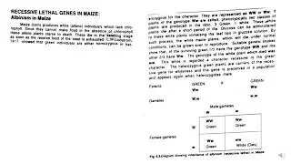 Lethal Genes: Yellow coat colour of mice, recessive lethal in maize#genetics