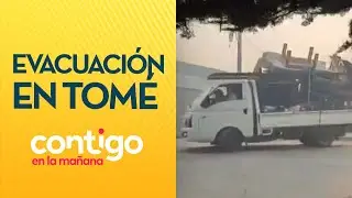 EVACUACIÓN TOMÉ: Vecinos debieron evacuar por avance del incendio - Contigo en La Mañana