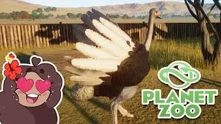 Success of the Strange Chickens!! 🦒 Planet Zoo BETA &bull; #18