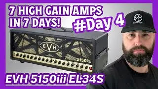 7 MONSTER HIGH GAIN AMPS IN 7 DAYS PART 4 EVH 5150III EL34s &lsquo;Huge Low End Punch&rsquo;
