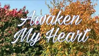 Awaken My Heart