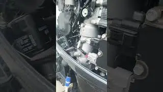 Yamaha 115 4 stroke shaking on idle. Checked the spark plugs, injectors, fuel filters, and vst. HELP
