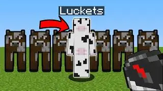 Hiding as an Animal in Minecraft Hide 'n Seek!
