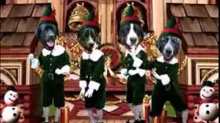 Funny Dogs Singing Christmas Songs