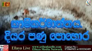 Ellaya Tv :- පණු පොහොර දියරය හදාගන්න ආකාරයHow to make liquid vermicompost   .දුරකතන 0718669451.