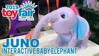 JUNO Interactive Baby Elephant at Toy Fair 2019!