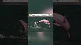 Animals we have Lost Recently 😢 #shorts  #trending
