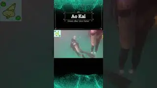 Ao Kai #shorts