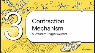 Guyton Ch 8: Smooth muscle contraction/excitation