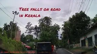 Tree Falls on Road in Vaikom, Kerala | Dashcam Scary Incident