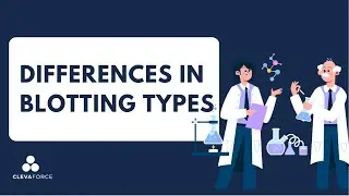 Northern Blotting​ vs Southern Blotting​ vs Western Blotting​