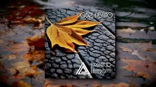 Proyecto Austero - Pobre Destino