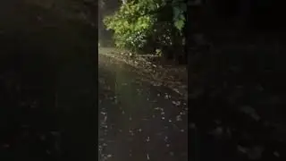 When they say 10% chance of rain and want to ride my bike
