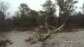 BIGFOOT SHOT AND KILLED actual footage