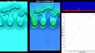 Three-Dimensional DNS of Falling Film with BLUE