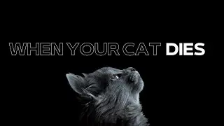 When a cat dies...signs, healing & spiritual meaning