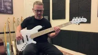 Cort Elrick NJS5 - Want Me Back bass cover