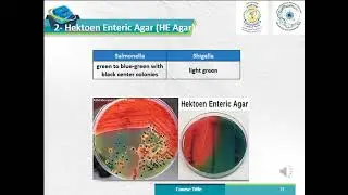 Medical microbiology - section (4) - Salmonella and shigella