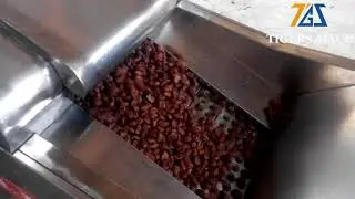 How to remove fruits core from Industrial date pitting machine, jujube core removing machine price