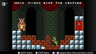Frog suit win in Mario 3