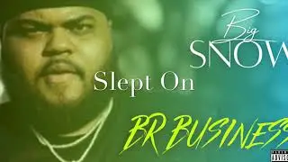Big Snow - BR BUSINESS &ldquo;Slept On&rdquo;
