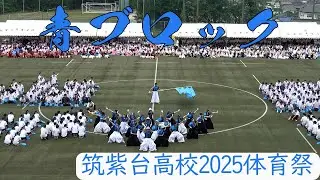 【演舞】筑紫台高校体育祭2025青ブロック