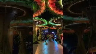 #dubai #uae #trending #ytshorts #ytshort #travel #india #love #viral #viralshorts #youtube #song