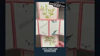 Pop Up Bird 🐦 Card Wow [Pop & Twist Series Card 7] #shorts