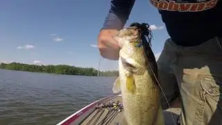 Santone M Series Jig Video
