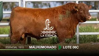 Remate La Carablanca, Lote 06C