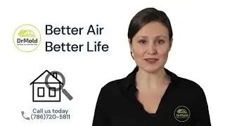 How to Get Rid of Mold in Miami: Professional Mold Removal Services Explained.