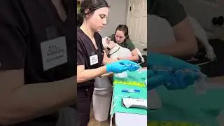 Penn Foster student # 23607060 Externship 2 Skill 4