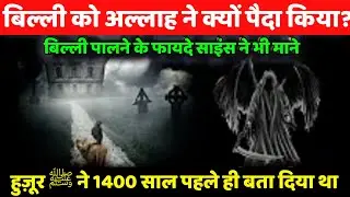 अल्लाह ने बिल्ली को क्यूं पैदा किया ? Can Cats Protect Against Negative Energy ? in Urdu