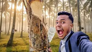 খেজুর গাছ কাটা ও বিলের মাঝে দারুণ কিছু সময়! | Date Tree Cutting & Nature Vlog!#DateTree 