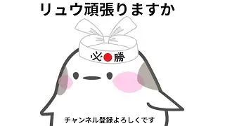 スト６夜どうやら新act来たらしいじゃないですか