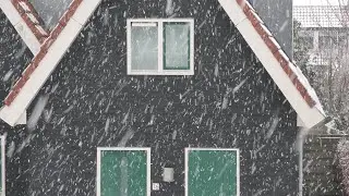 Flinke Sneeuwval in Stellendam! - 5 januari 2026