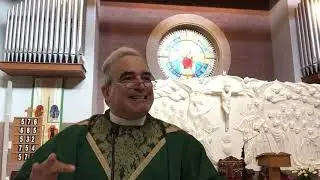 16th Sunday: Weeds, Wheat, and Wisdom