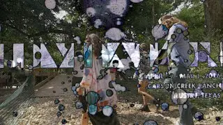 LEVITATION LINEUP VIDEO (2016)